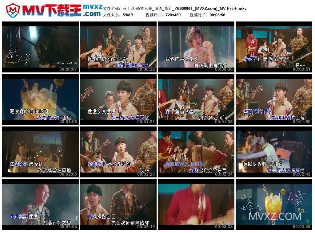 鱼丁糸-蜂蜜人蔘_国语_流行_YE900961